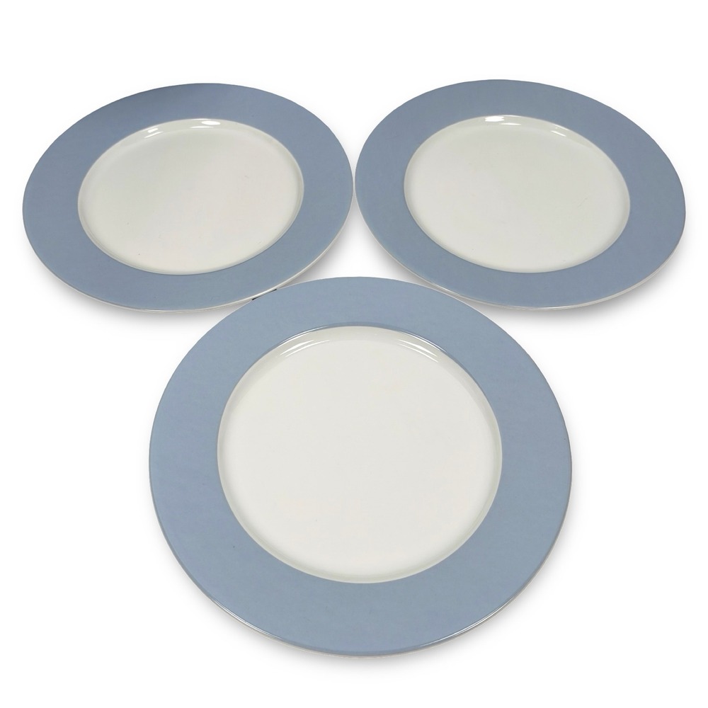 IKEA 365 Susan Pryke Dinner Plates Set of 3 Light Blue Rim Portugal 10.75in